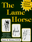 The Lame Horse by James R. Rooney, D.V.M.