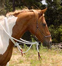 Natural Horsemanship Soft Rope Hackamore