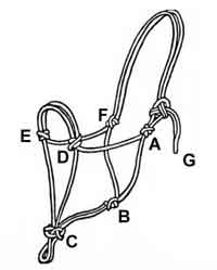 Custom Rope Horse Halters