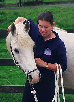 Horse Accepting Halter