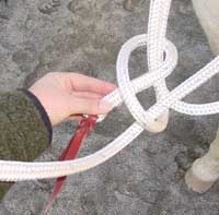 Instructions for Knots Used for Tying Lead or Mecate End for Riding