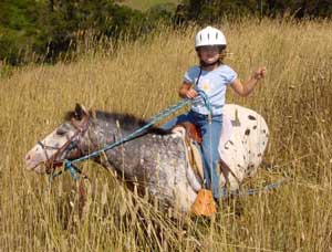 horsefriendly bridle on pony