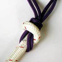 connecting rope halter and lead step 3