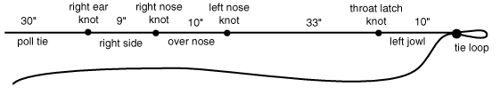 diagram of knots for tying a rope halter