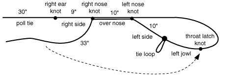 diagram of 2nd stage knots for tying a rope halter